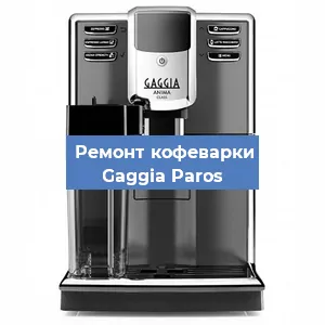 Чистка кофемашины Gaggia Paros от кофейных масел в Нижнем Новгороде